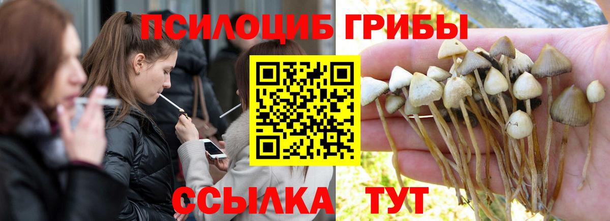 Галлюциногенные грибы GOLDEN TEACHER  Вход с VPN  Ноябрьск 
